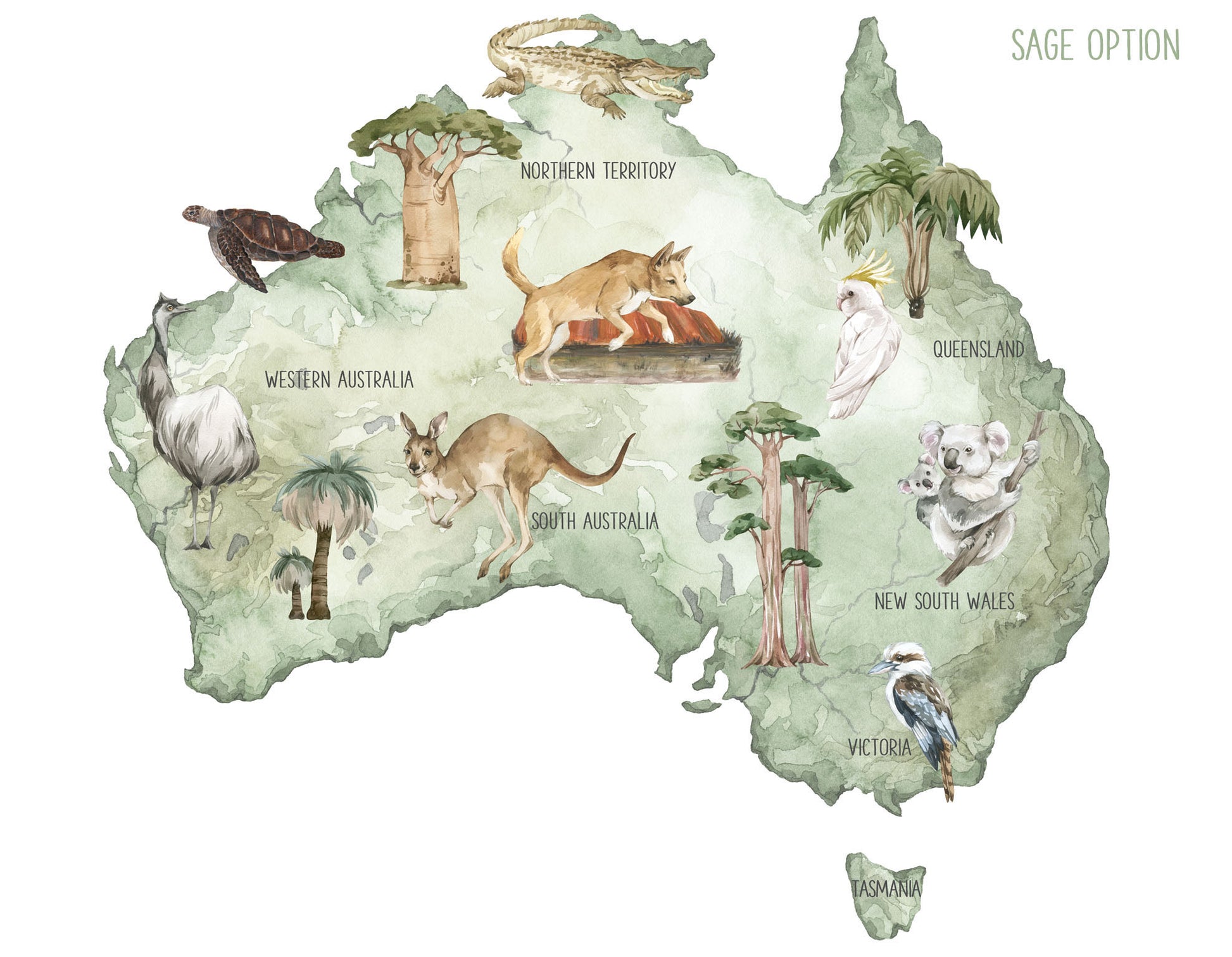 Map of Australia Decal - Wall Decals - Fable and Fawn 