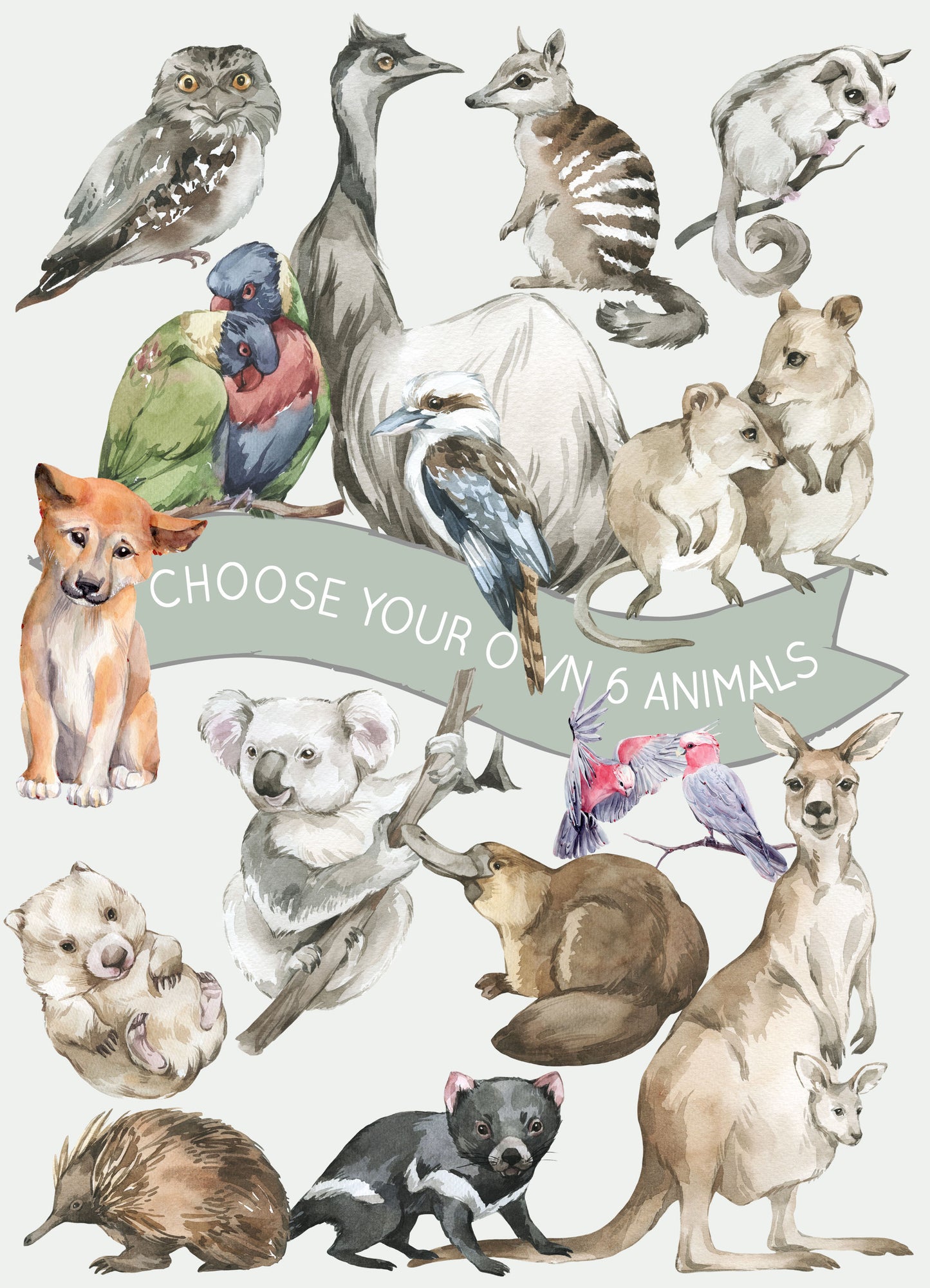 Australian Animals Wall Stickers - Pick Your Own Animals! - Wall Decals - Fable and Fawn 