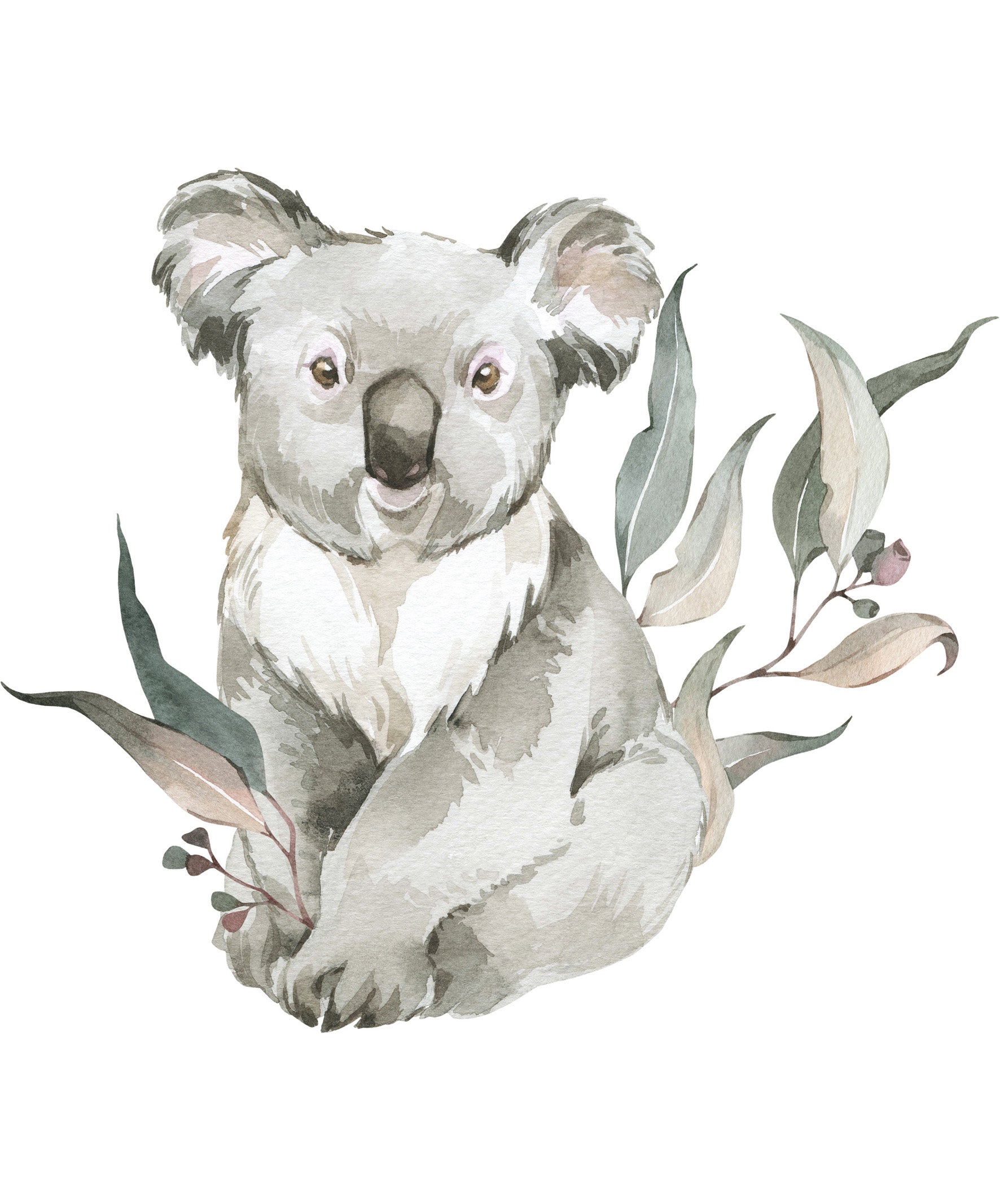 Animal Wall Decals (Koala) - Wall Decals - Fable and Fawn 