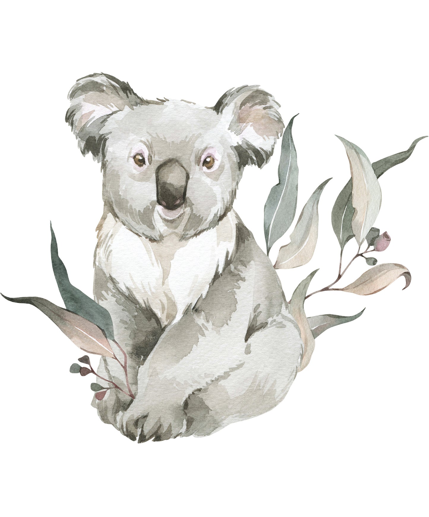 Animal Wall Decals (Koala) - Wall Decals - Fable and Fawn 