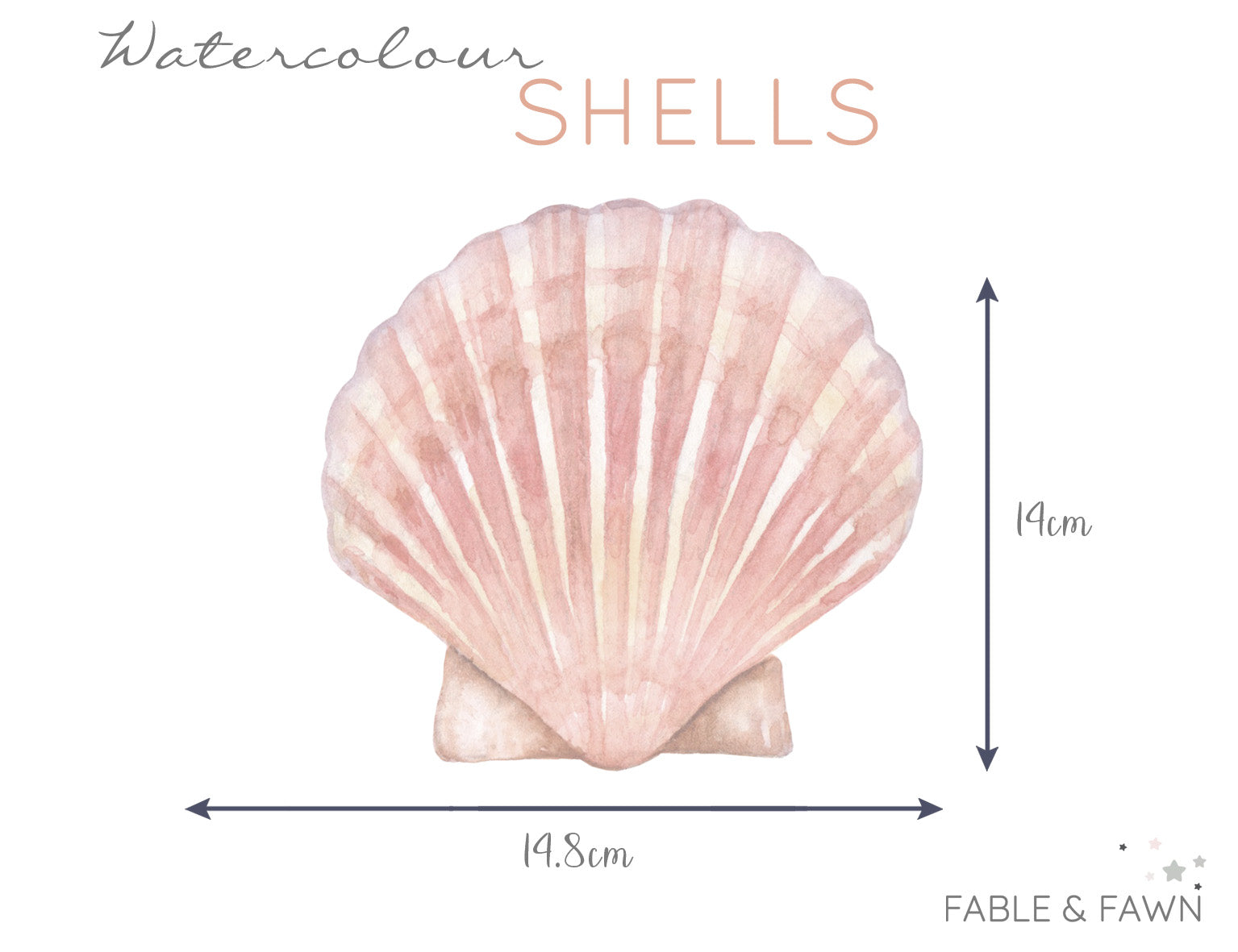 Seashell Wall Decals (Boho Set) - Wall Decals - Fable and Fawn 