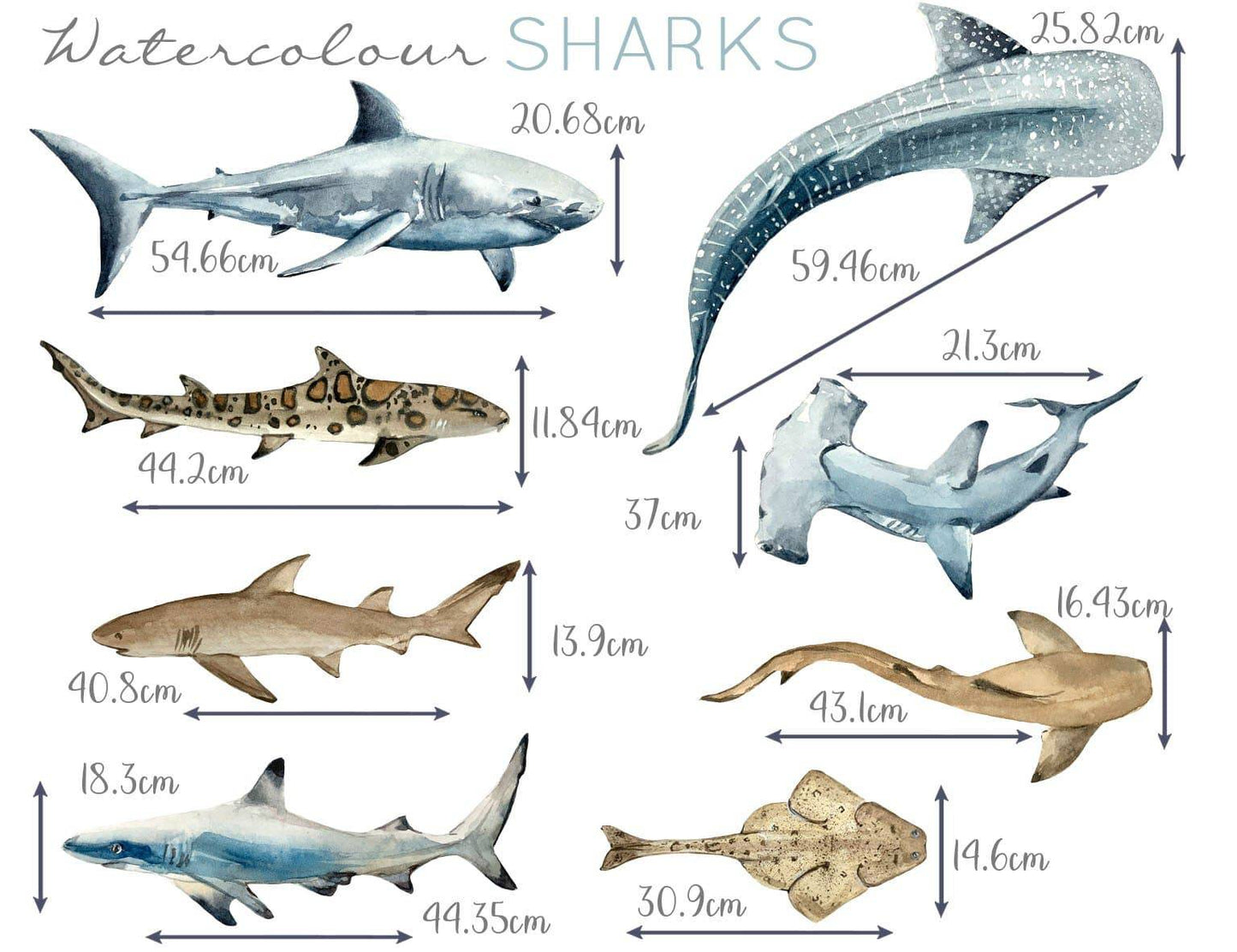 Shark Wall Stickers - Wall Decals - Fable and Fawn 