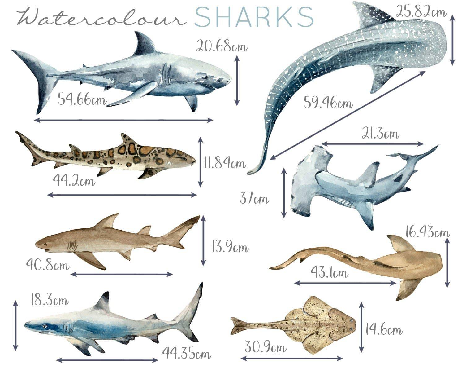 Shark Wall Stickers - Wall Decals - Fable and Fawn