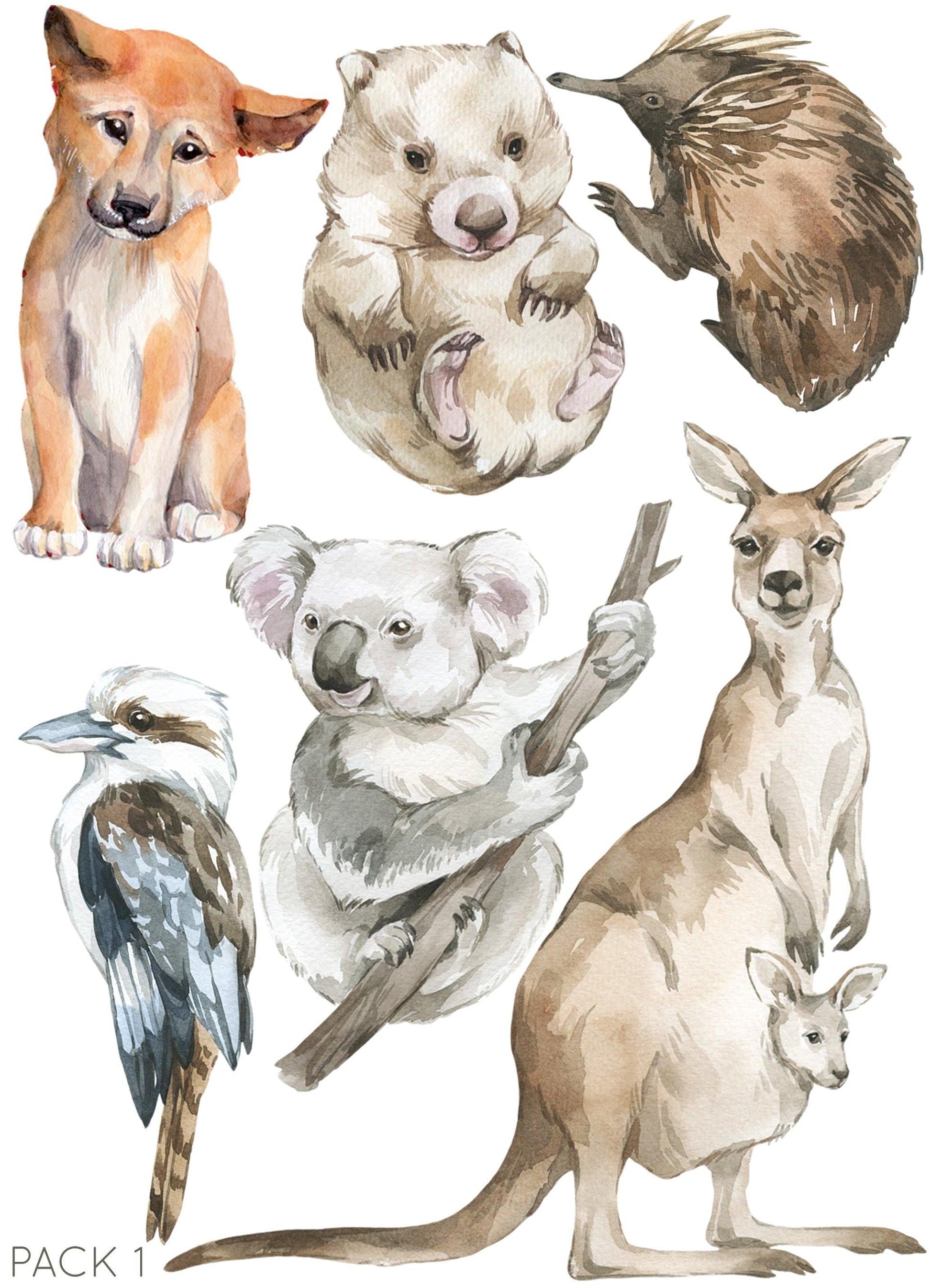 Australian animals wall stickers, Fable and Fawn