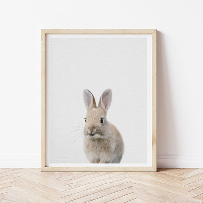 Bunny Rabbit Print - Kids Wall Art - Fable and Fawn 