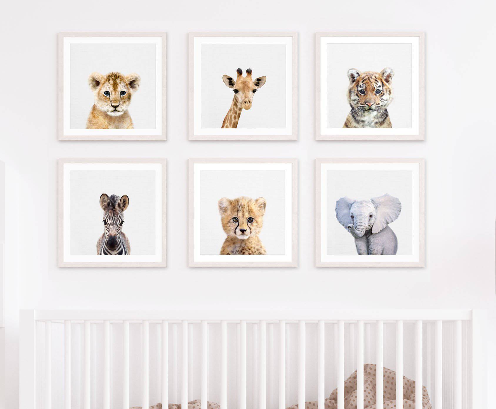 Baby Safari Animal Prints - Kids Wall Art - Fable and Fawn 