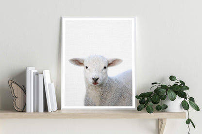 Lamb Print | Australian Nursery - PRINT - Fable and Fawn 