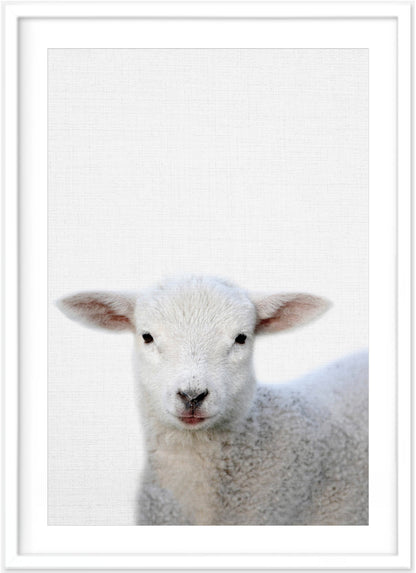 Lamb Print | Australian Nursery - PRINT - Fable and Fawn 