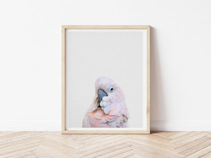 Pink Cockatoo Print - PRINT - Fable and Fawn 