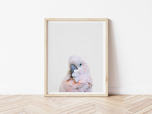 Pink Cockatoo Print - PRINT - Fable and Fawn 