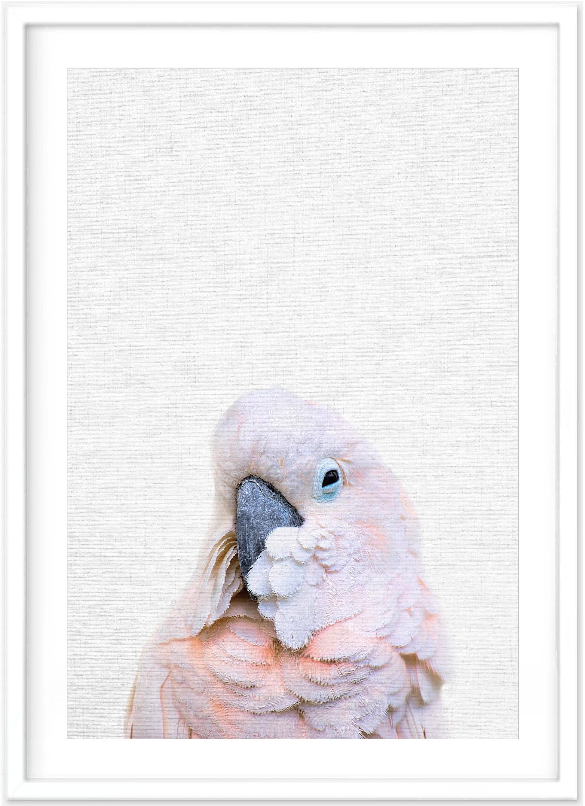 Pink Cockatoo Print - PRINT - Fable and Fawn 