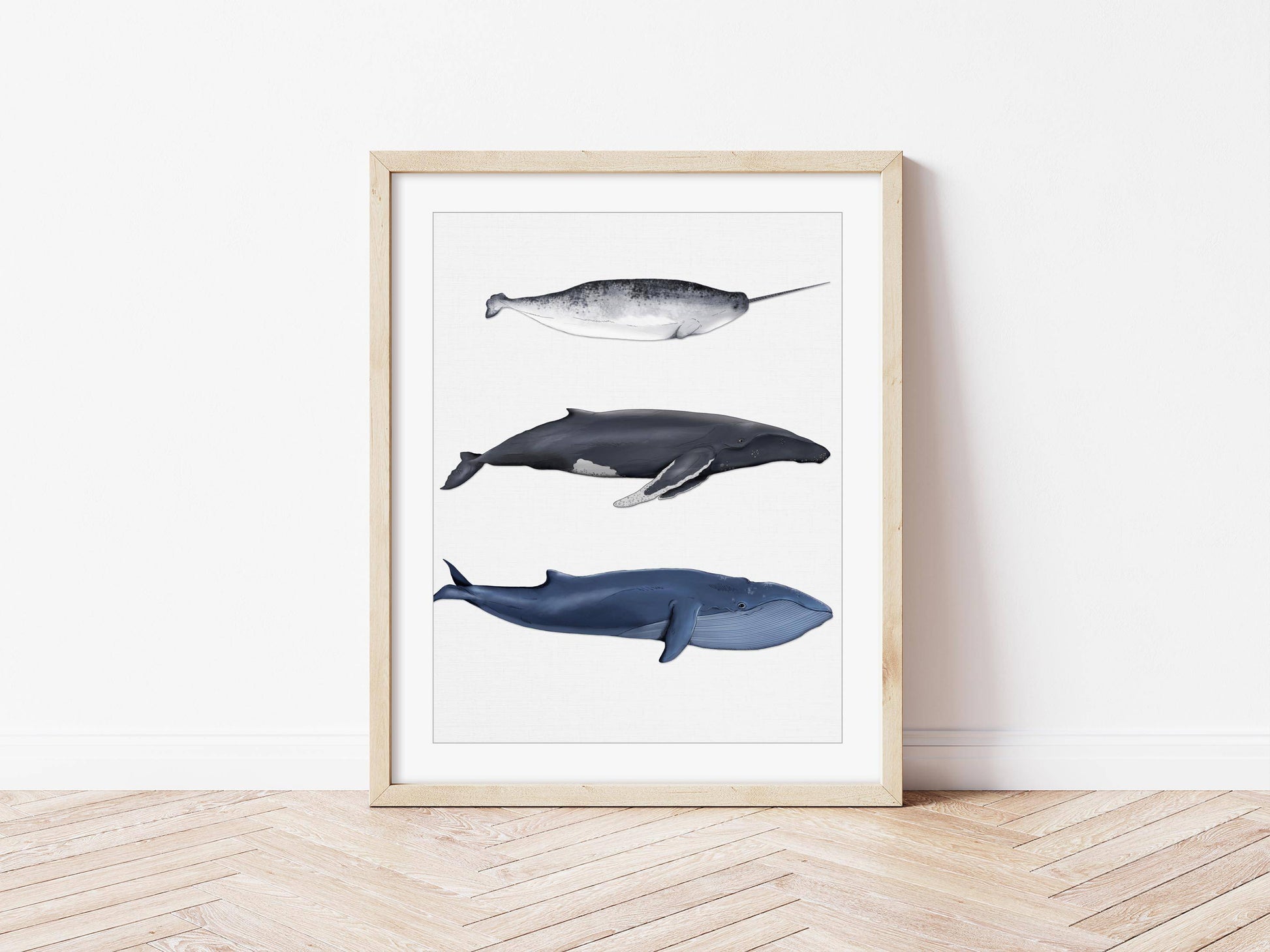 Whale Print | Narwhal | Blue Whale | Humpback Whale | Beach Decor - PRINT - Fable and Fawn 