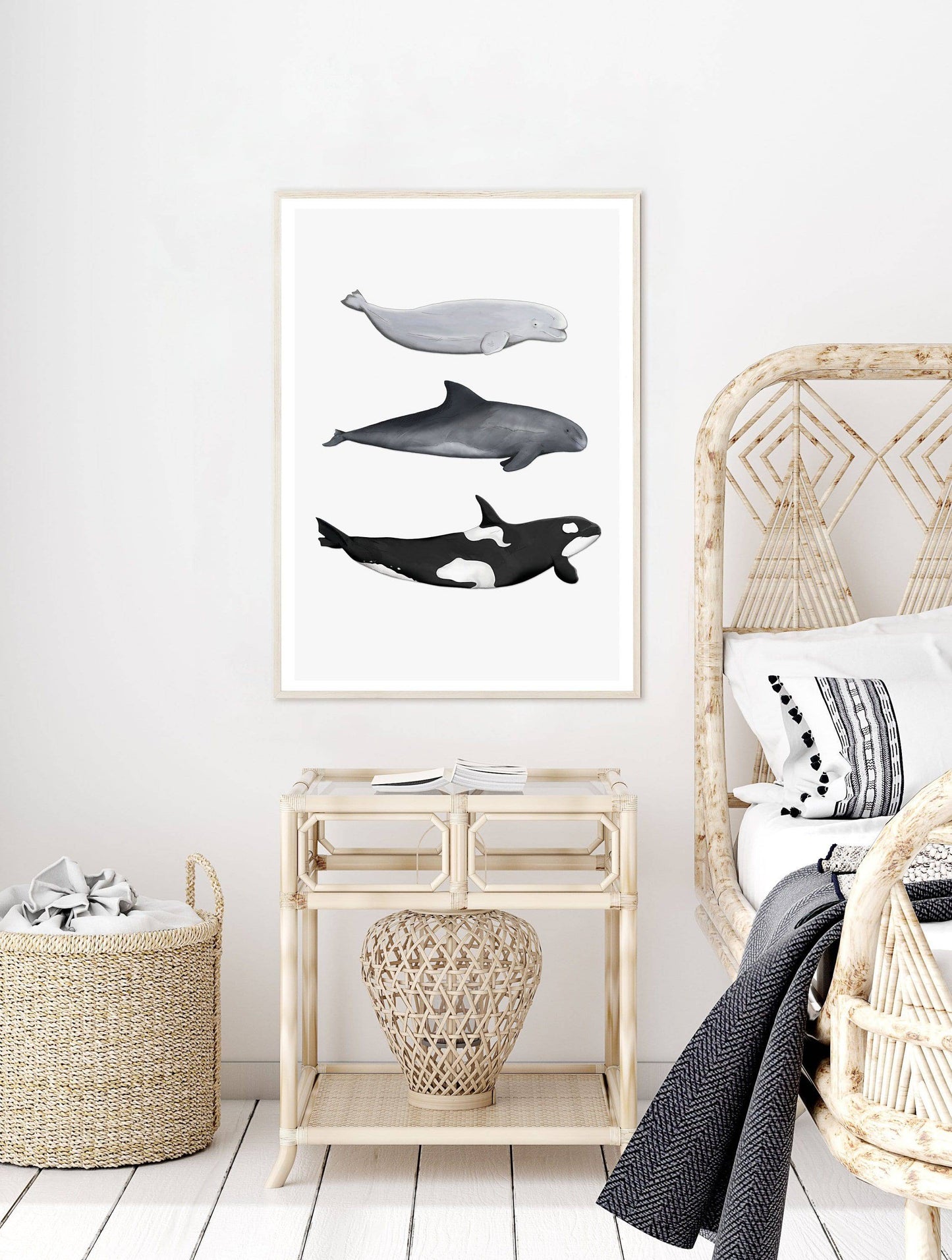 Whale Print | Orca - Pygymy Whale - Beluga Whale - PRINT - Fable and Fawn 