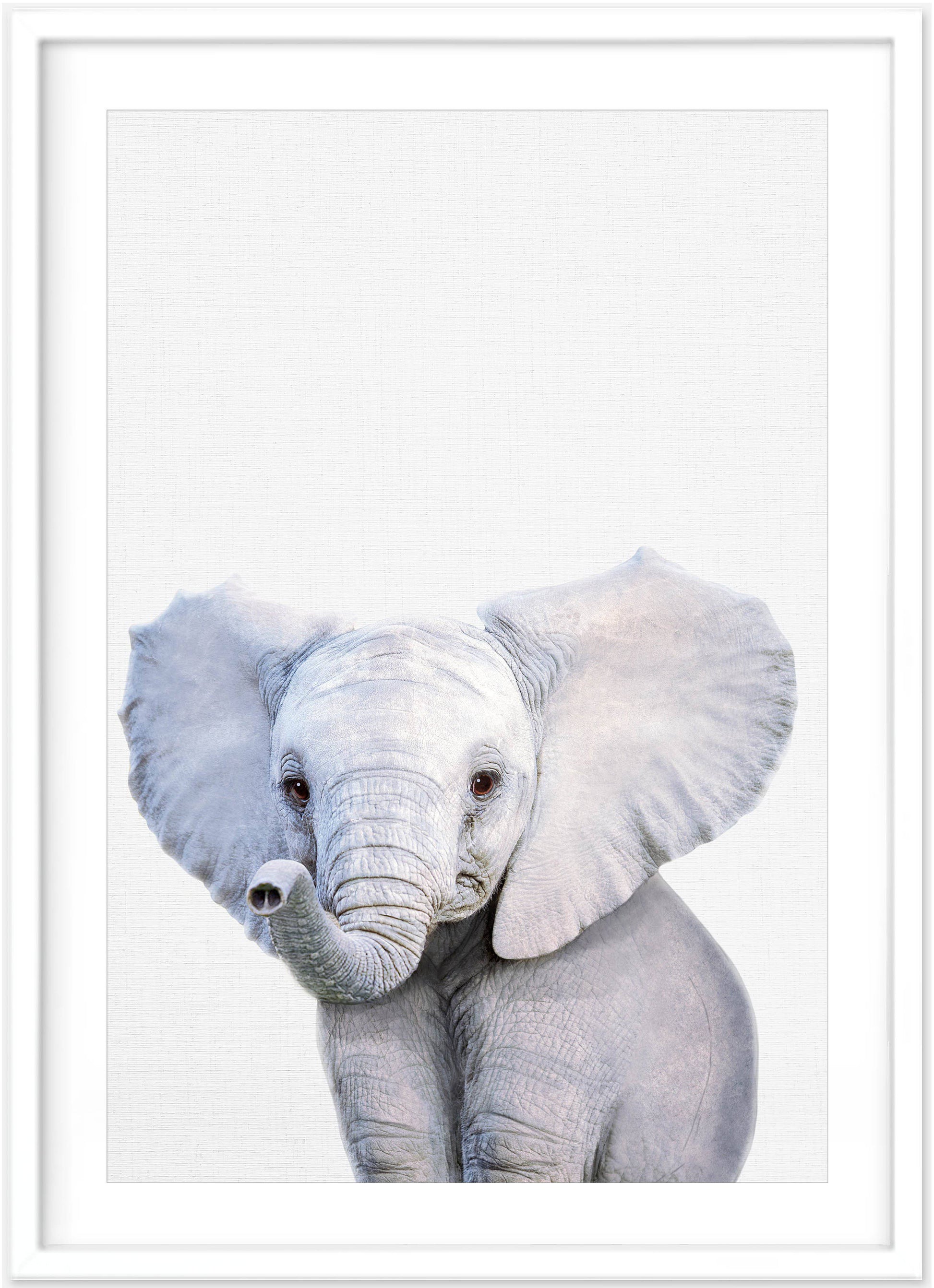 Baby Elephant Print - PRINT - Fable and Fawn 