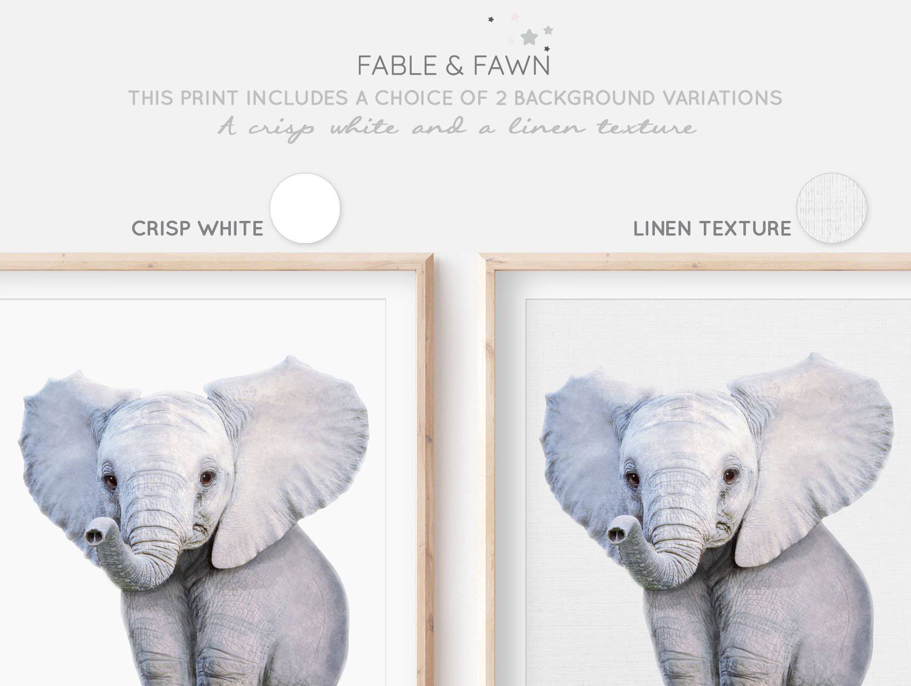 Baby Elephant Print - PRINT - Fable and Fawn 