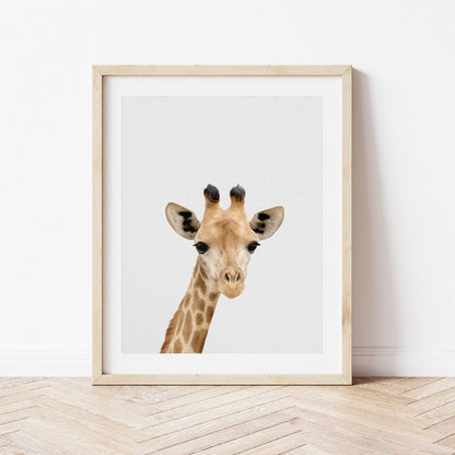 Giraffe Print | Baby Animal Print | Safari Nursery - PRINT - Fable and Fawn 