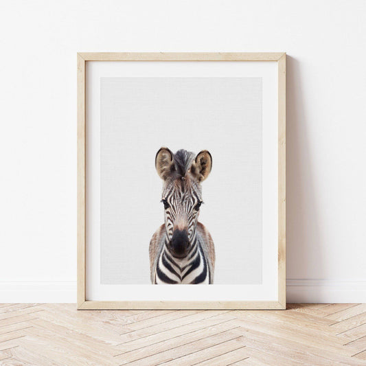 Zebra Print | Baby Animal Print | Safari Nursery - PRINT - Fable and Fawn 