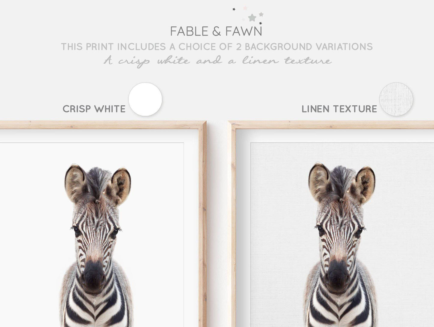 Zebra Print | Baby Animal Print | Safari Nursery - PRINT - Fable and Fawn 