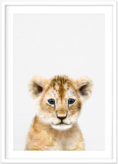 Lion Cub Print - PRINT - Fable and Fawn 