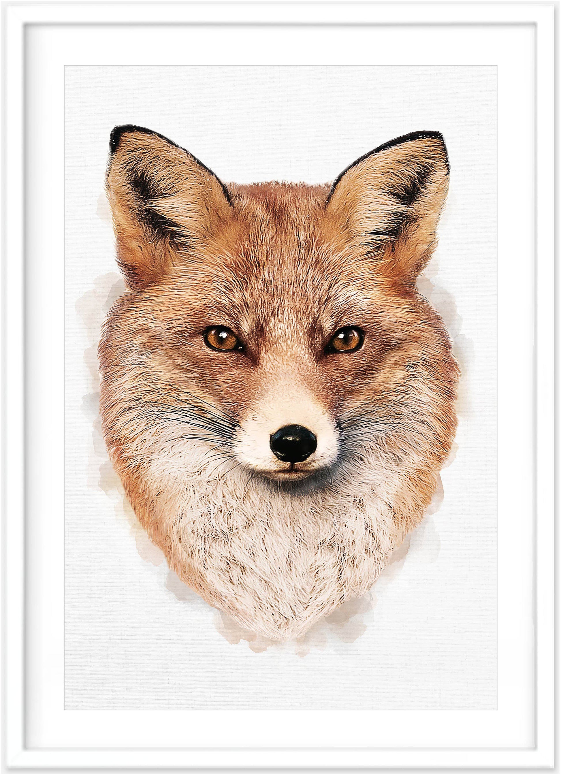 Fox Print | Animal Wall Art - PRINT - Fable and Fawn 