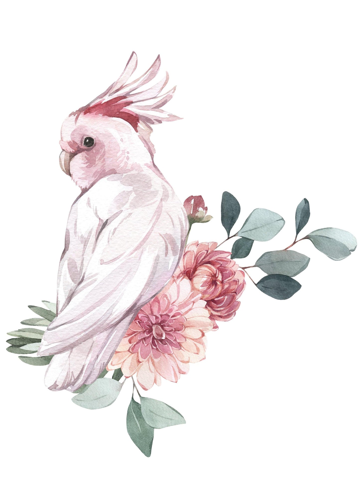 Pink Cockatoo & Flower Wall Decals - Wall Decals - Fable and Fawn 