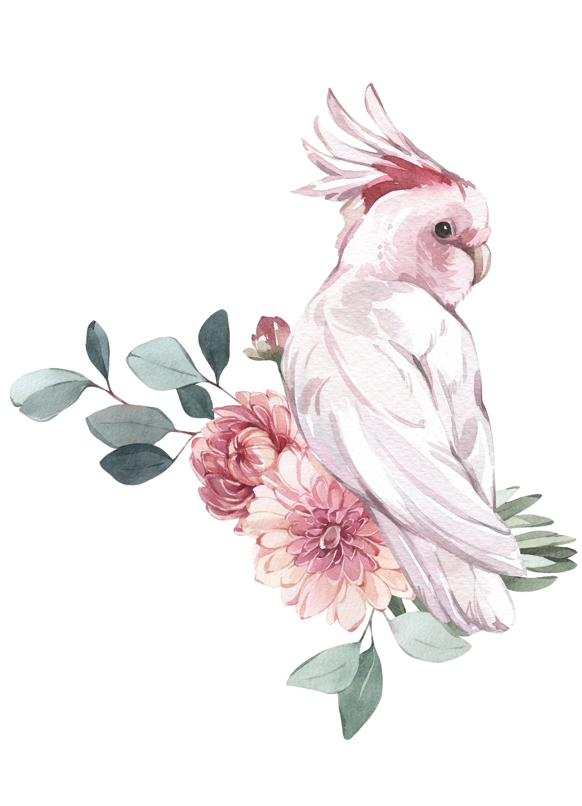 Pink Cockatoo & Flower Wall Decals - Wall Decals - Fable and Fawn 