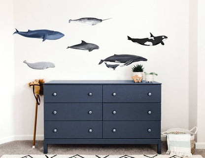 Ocean Themed Wall Decals (Whales) - Wall Decals - Fable and Fawn 