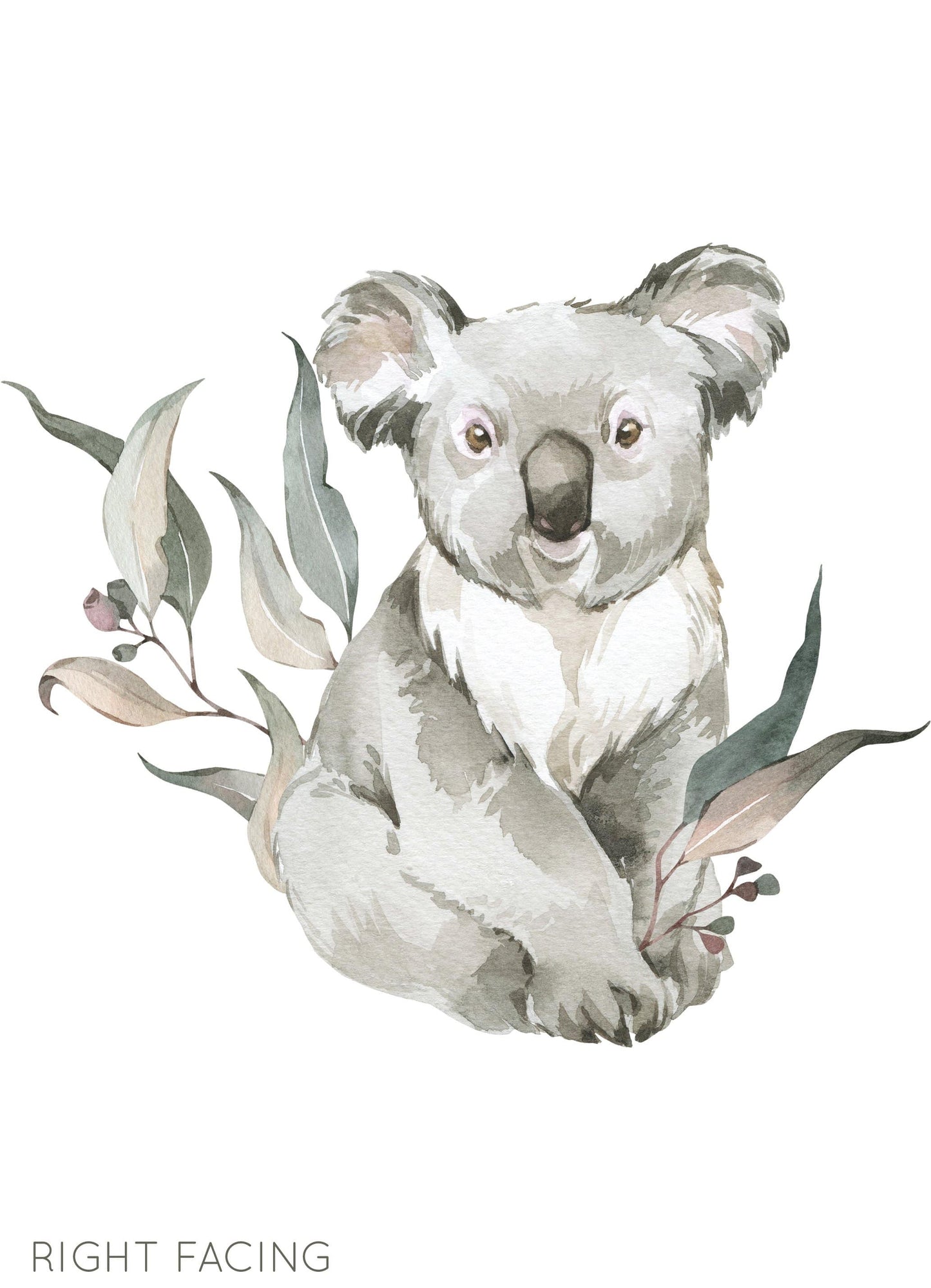 Animal Wall Decals (Koala) - Wall Decals - Fable and Fawn 
