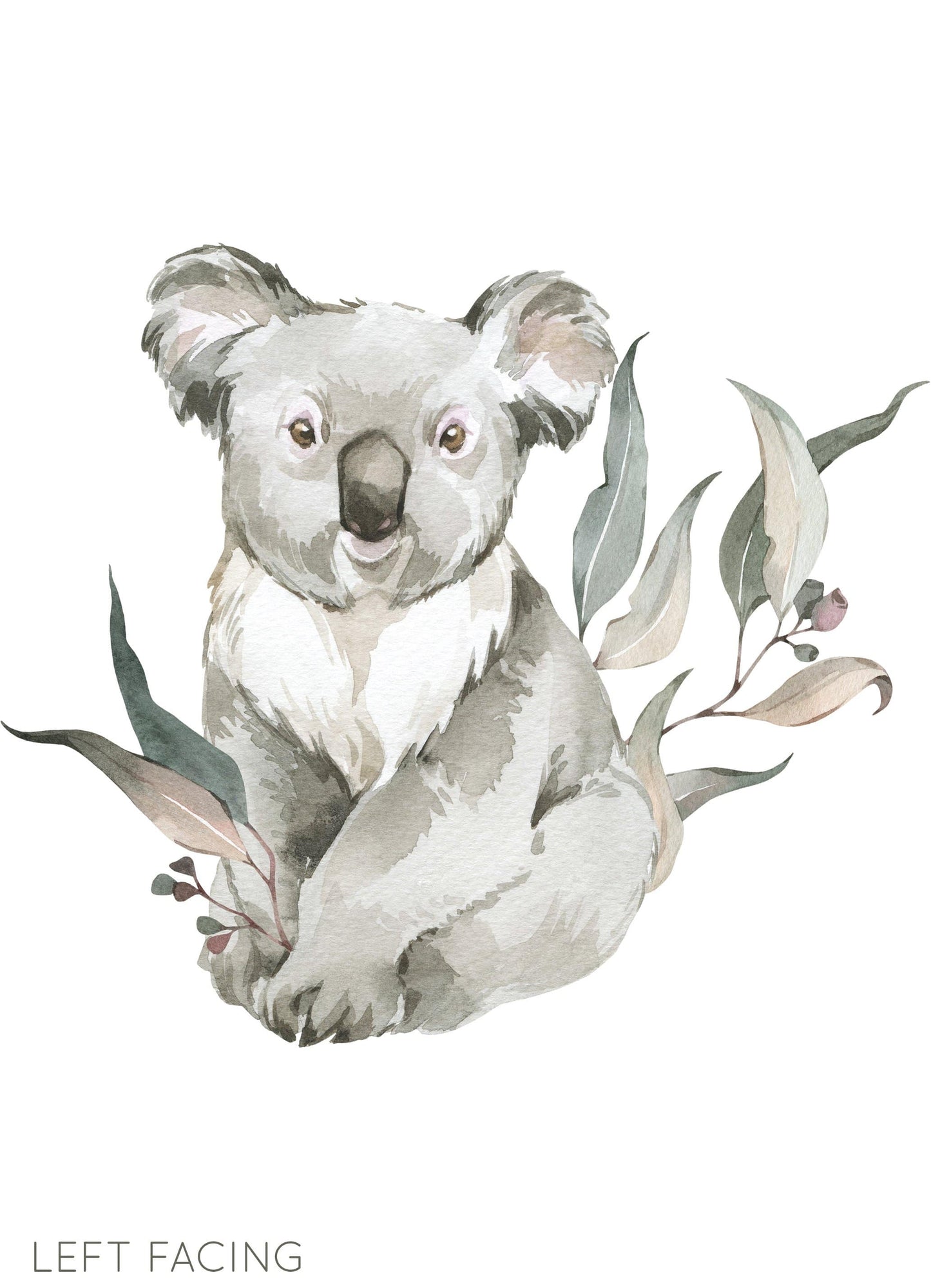 Animal Wall Decals (Koala) - Wall Decals - Fable and Fawn 