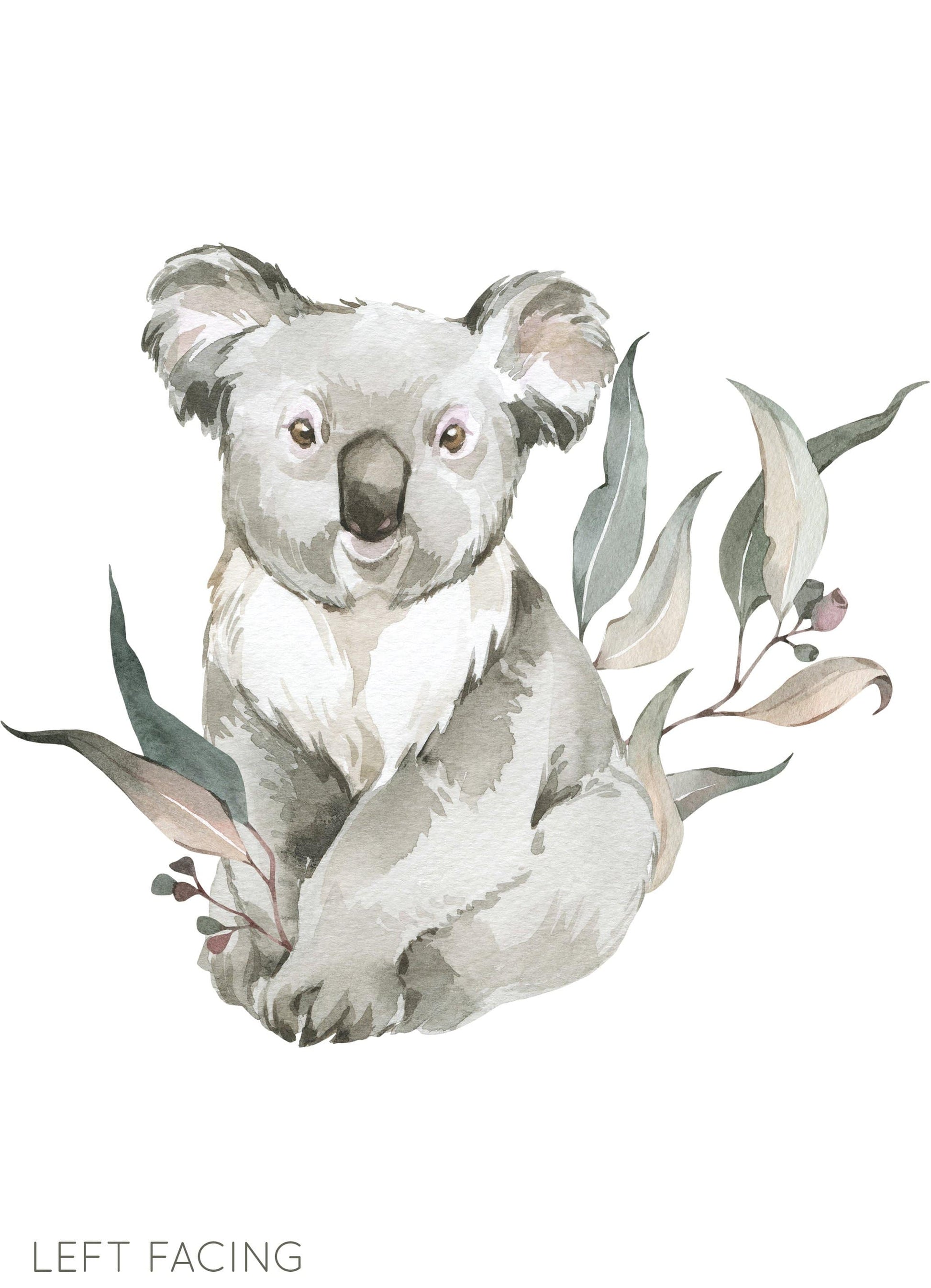 Animal Wall Decals (Koala) - Wall Decals - Fable and Fawn 