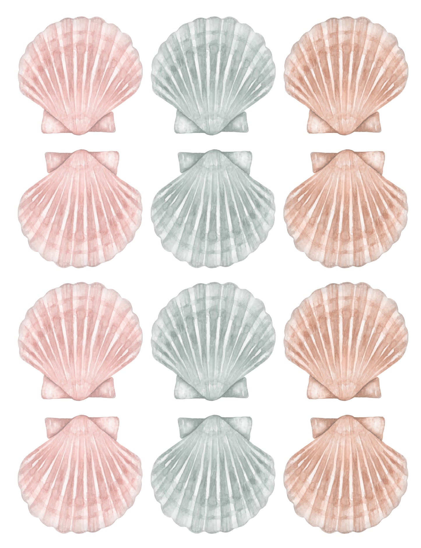 Seashell Wall Decals (Boho Set) - Wall Decals - Fable and Fawn 